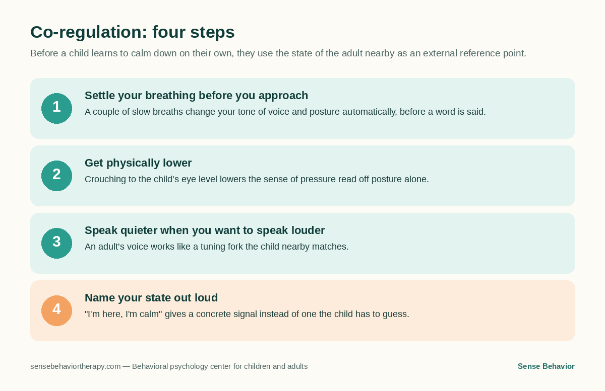 Infographic: four co-regulation steps for a child with autism — settle your breathing, get to eye level, speak quieter, name your own state out loud